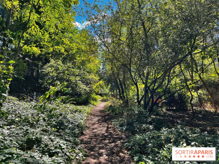 Balade sur la Petite Ceinture du 14 au 16e arrondissement : un sentier nature dépaysant