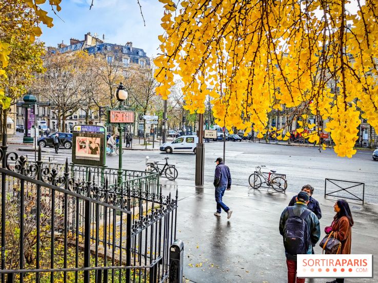 Visuels Paris - métro automne arbre