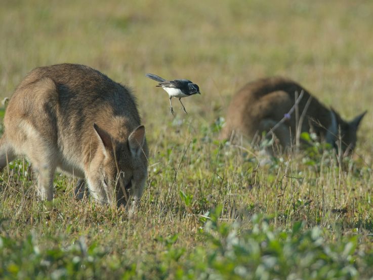 Ferme dammarie les lys