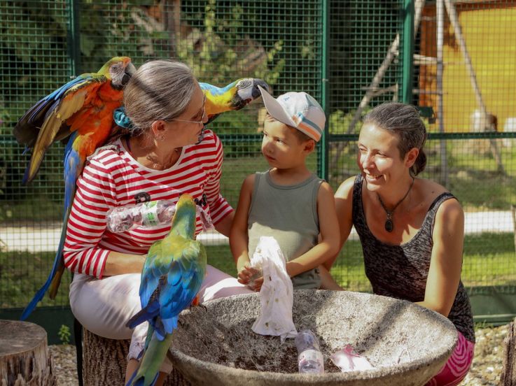 Devenez soigneur le temps d'une journée à la Plume de Vallombreuse (77)