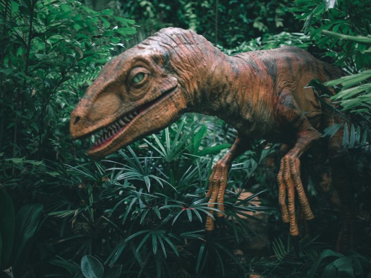 exposition dinosaures