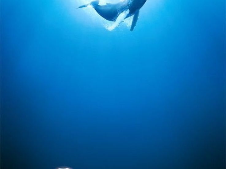 océans le film
jacques perrin
jacques luzaud