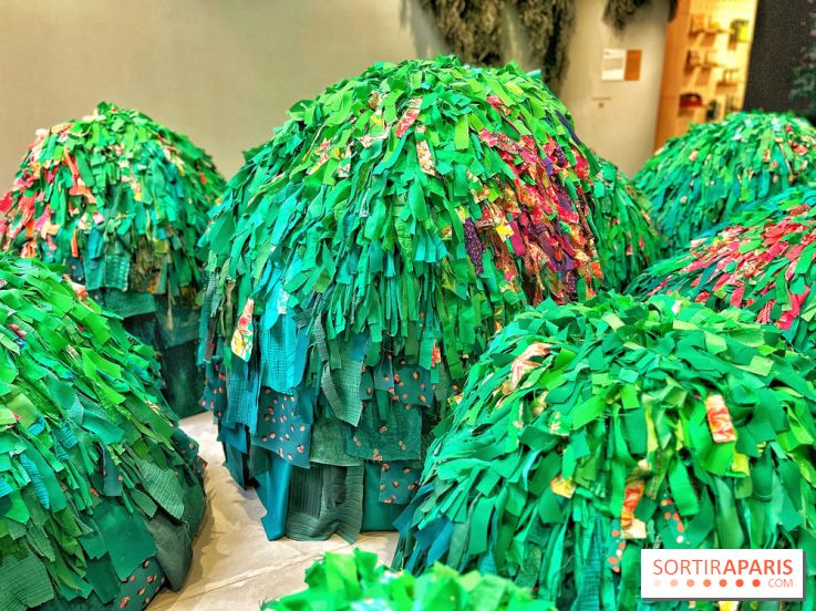 Le Chant des Forêts, l'exposition sensible et gratuite du Maif Social Club