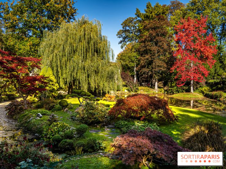 Le Jardin japonais du Château de Courances