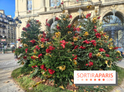 Noël Paris visuels - cadeau - sapin - Marché de Noël - cadeau de Noël - décoration - Mairie 11e
