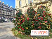 Noël Paris visuels - cadeau - sapin - Marché de Noël - cadeau de Noël - décoration - Mairie 11e