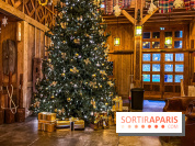 Noël Paris visuels - sapin de noël