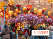 Paris Food Tour spécial 13e, quartier chinois - Tang Frères