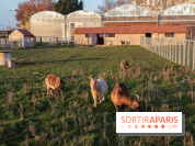 Fermes de Gally - Saint Denis - 121E8A17 ECDB 4F1B 90A8 CF8CA8E2C832