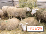 Salon de l'agriculture 2023