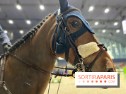 cheval - Saut Hermès