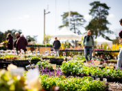 Les journées des plantes & Art  - journes des plantes  fontainebleau 2025 i samedi 29 mars 2025 54425853222 o