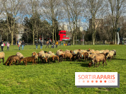 Transhumance à la Villette - 0A0601BF B46E 4CB3 8C5C 8FCED47E3559