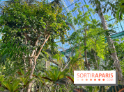 Le Jardin des Serres d'Auteuil - IMG 1552