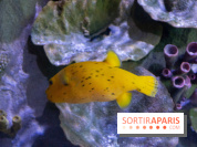 Aquarium Sea Life