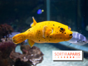 Aquarium Sea Life - IMG 8301