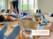 Puppy Yoga
