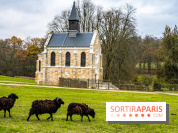 Domaine National de Port-Royal des Champs dans les Yvelines -  A7C3207