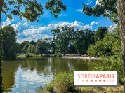 Visuel forêt  - IMG 5163