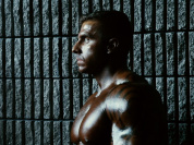 Projection de courts métrages spécial Festival de Brest