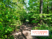 Balade nature dans la forêt de Montmorency, nos photos