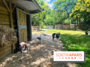La ferme de la Villette et ses animaux