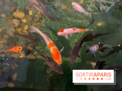 La Maison de la Pêche et de la Nature - image00031