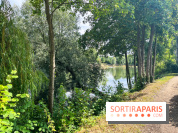Le long de l'Oise, entre Auvers-sur-Oise et l'Isle-Adam
