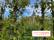 Potager du Roi