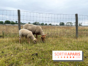 La ferme de Saint-Cyr l'Ecole - image00043