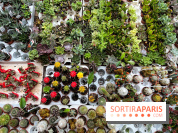 La ferme de Saint-Cyr l'Ecole - image00001