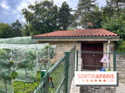 Le parc Georges Brassens, pour se croire à la campagne dans le 15e - image00026