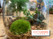Boby la Plante