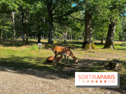 Espace Rambouillet