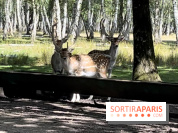 Espace Rambouillet - IMG 4544