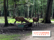 Espace Rambouillet - IMG 4547