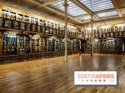 Musée des Moulages à Paris, nos photos