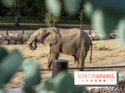 Les lodges de Thoiry - dormir à Thoiry en Terres d'Afrique - Photos -  A7C3299
