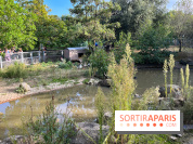 La ferme pédagogique du parc des Chanteraines - image00038