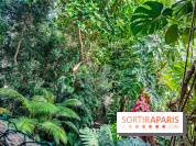 Automne Tropical 2023