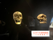 Le musée de l'Homme - collections permanentes
