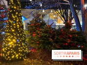 Bel Hiver 2023 à Saint-Denis - nos photos - image00013