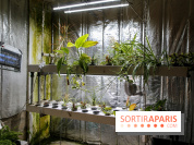 La Caverne, ferme urbaine bio à Paris, nos photos - IMG 2208