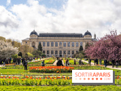 Visuel Paris 5e -  jardin des plantes - museum - printemps - cerisiers