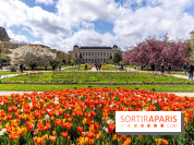 Visuel Paris 5e -  jardin des plantes - museum - printemps - fleurs