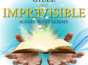 Imprévisible, le spectacle de Bertrand Gilles