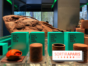 Les chocolats de Noël 2023 du MOF Patrick Roger 