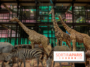 Grande Galerie de l'évolution- visuels 2024 - image00073