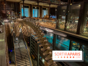 Grande Galerie de l'évolution- visuels 2024 - image00076