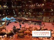 Grande Galerie de l'évolution- visuels 2024 - image00033